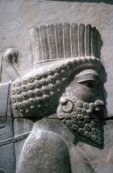 Relief of a Persian man, the Apadana, Persepolis, Iran. Creator: Vivienne Sharp