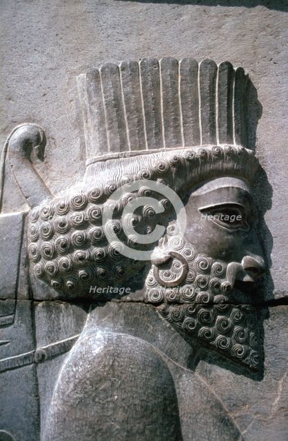 Relief of a Persian man, the Apadana, Persepolis, Iran. Creator: Vivienne Sharp.