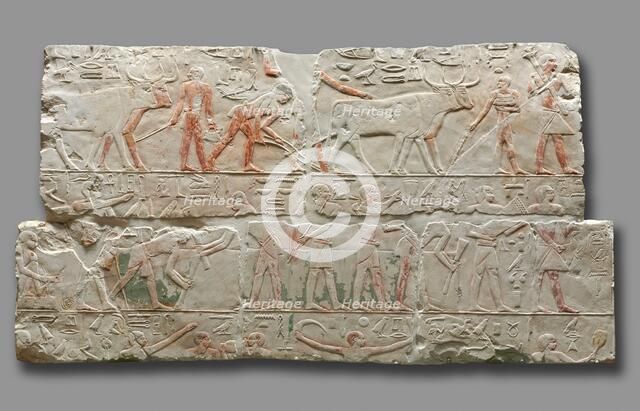 Relief of Agricultural Scenes, c. 2311-2281. Creator: Unknown.