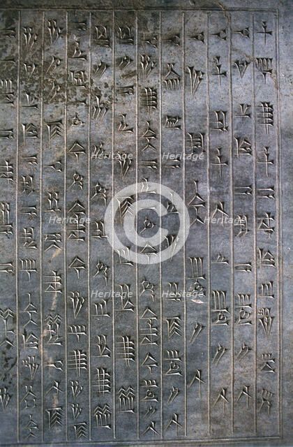 Relief of cuneiform text, the Apadana, Persepolis, Iran