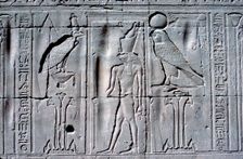 Relief of Horus (falcon-headed god), Temple of Horus, Edfu, Egypt, c251 BC - c246 BC