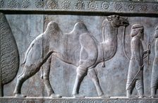 Relief of Parthians, the Apadana, Persepolis, Iran. Creator: Vivienne Sharp