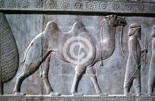 Relief of Parthians, the Apadana, Persepolis, Iran. Creator: Vivienne Sharp.