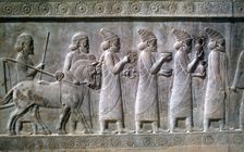 Relief of Syrians or Lydians, the Apadana, Persepolis, Iran. Creator: Vivienne Sharp