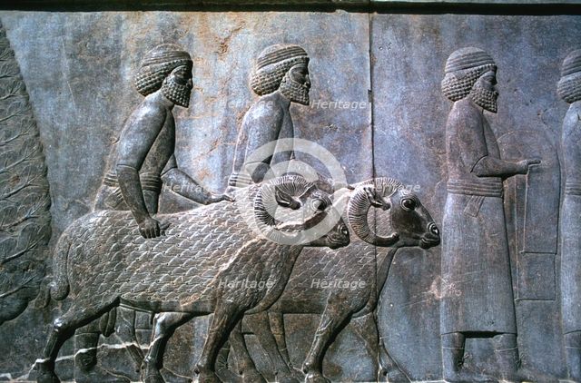 Relief of Sogdians, the Apadana, Persepolis, Iran. Creator: Vivienne Sharp.