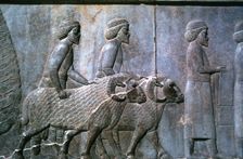 Relief of Sogdians, the Apadana, Persepolis, Iran. Creator: Vivienne Sharp