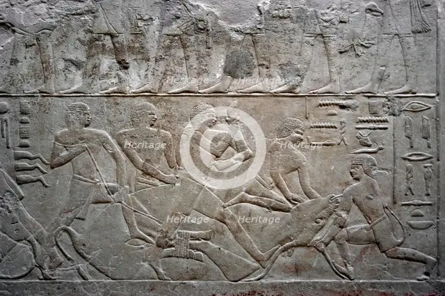 Relief depicting an ox slaughter, Mastaba of Mereruka, Saqqara, Egypt, Old Kingdom, 2003. Creator: Unknown.