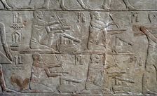 Relief depicting scribes, Mastaba of Mereruka, Saqqara, Egypt, Old Kingdom, 2340 BC (2003). Creator: Unknown