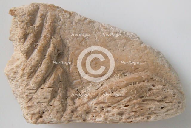 Relief Fragment, Coptic, 6th-7th century. Creator: Unknown.