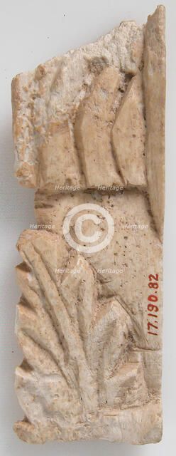 Relief Fragment with Ancanthas Leaf Design, Coptic, 6th-7th century. Creator: Unknown.