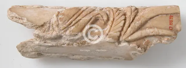 Relief Fragment with Floral Design, Coptic, 6th-7th century. Creator: Unknown.