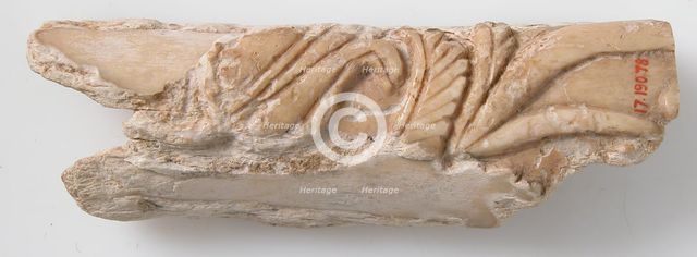 Relief Fragment with Floral Design, Coptic, 6th-7th century. Creator: Unknown.