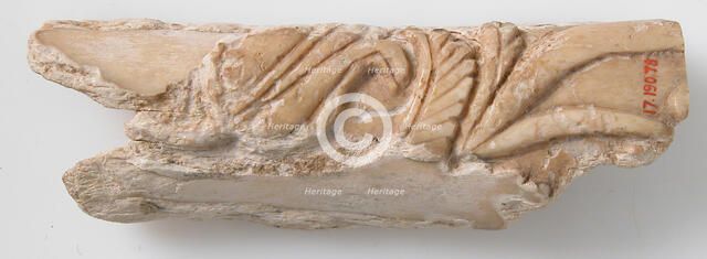 Relief Fragment with Floral Design, Coptic, 6th-7th century. Creator: Unknown.