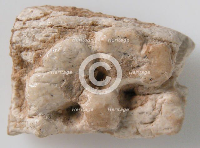 Relief Fragment with Part of a Rosette, Coptic, 6th-7th century. Creator: Unknown.