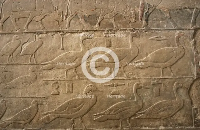 Relief showing ducks and birds, Mastaba of Ti, Egypt, 5th Dynasty, Old Kingdom, c2400 BC (2003). Creator: Unknown.