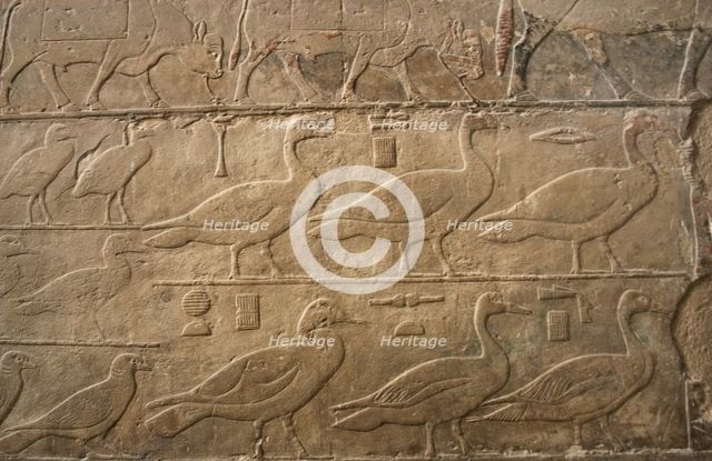 Relief showing ducks and birds, Mastaba of Ti, Egypt, 5th Dynasty, Old Kingdom, c2400 BC (2003). Creator: Unknown.