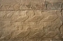 Relief showing ducks and birds, Mastaba of Ti, Egypt, 5th Dynasty, Old Kingdom, c2400 BC (2003). Creator: Unknown