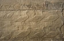 Relief showing ducks and birds, Mastaba of Ti, Egypt, 5th Dynasty, Old Kingdom, c2400 BC (2003). Creator: Unknown