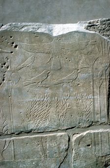 Reliefs in the Botanical Garden, Temple of Amun, Karnak, Egypt