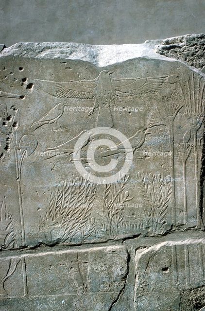 Reliefs in the Botanical Garden, Temple of Amun, Karnak, Egypt. Artist: Unknown