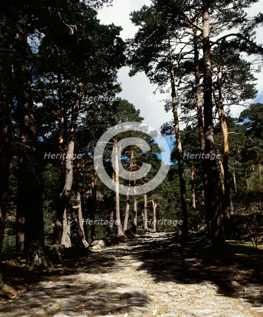 Remains of the Roman road of Cercedilla, Community of Madrid, Spain, 2008.  Creator: LTL.
