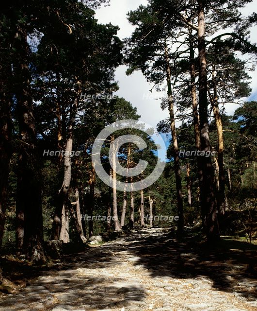Remains of the Roman road of Cercedilla, Community of Madrid, Spain, 2008.  Creator: LTL.
