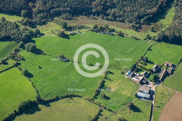 Remains of a Cistercian grange and medieval settlement, High Cayton, North Yorkshire, 2023. Creator: Robyn Andrews.