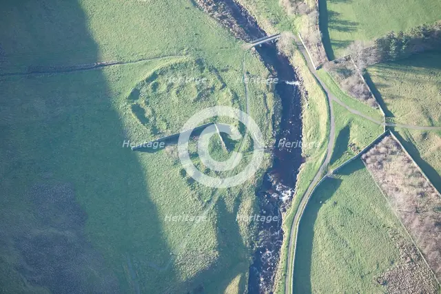 Remains of a Romano-British enclosed settlement, near Barnard Castle, County  Durham, 2014. Creator: Historic England Staff Photographer.