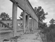 Remains of drug store at Fullerton, Louisiana, an abandoned lumber town, 1937. Creator: Dorothea Lange