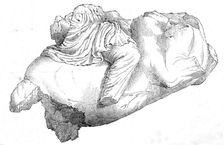 Remains (supposed) of an Amazon, 1861. Creators: John Jessop Hardwick, Unknown