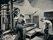 Removing Biscuits from Oven c1917