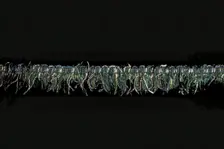 Renaissance Fringe, Italy, 16th century. Creator: Unknown