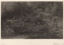 Renard à l'affût. Creator: Karl Bodmer
