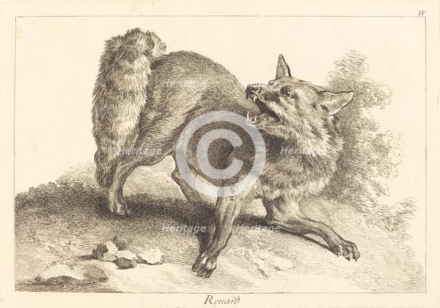 Renard (Fox). Creator: Jacques Philippe Le Bas.