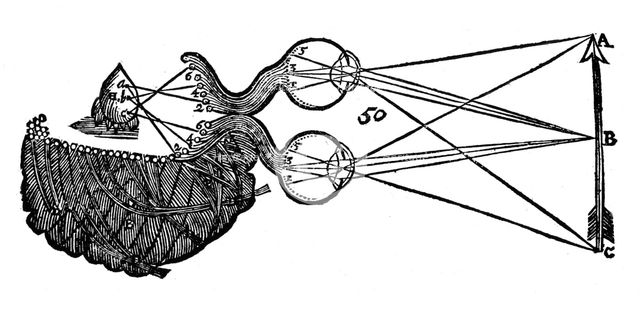 Rene Descartes' idea of vision, showing the function of the eye, optic nerve and brain, 1692. Creator: Unknown.