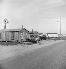 Rented cabins, ten dollars a month...Arkansawyers auto camp, Greenfield, Salinas Valley, CA, 1939. Creator: Dorothea Lange