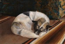 Reposing Dog, 1894. Creator: Sigrid Granfelt