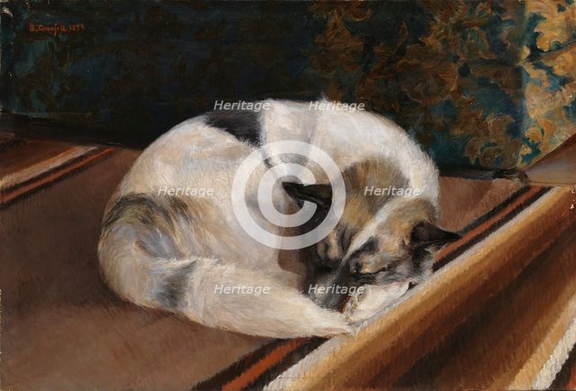 Reposing Dog, 1894. Creator: Sigrid Granfelt.