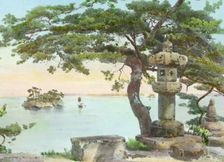 Reproduction of illustration: "Pine-Tree at Matsushma", between 1915 and 1925. Creator: Frances Benjamin Johnston