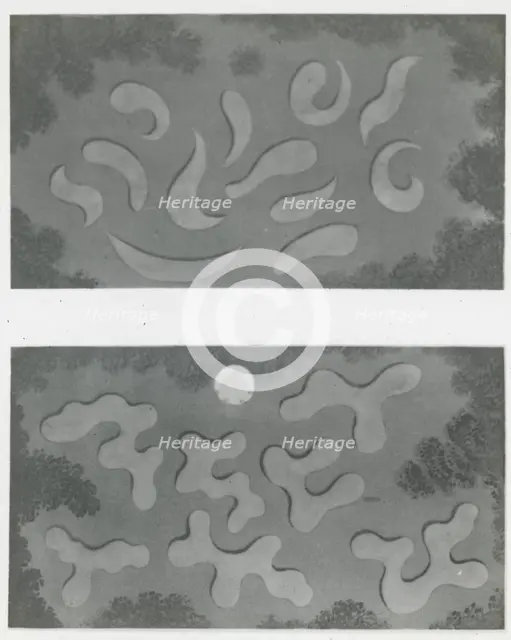 Reproduction of illustrations showing flower garden designs, between 1915 and 1925. Creator: Frances Benjamin Johnston.