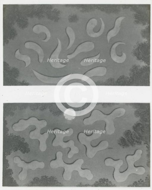 Reproduction of illustrations showing flower garden designs, between 1915 and 1925. Creator: Frances Benjamin Johnston.