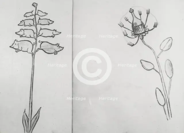 Reproduction of illustrations: "Piggiwiggia Pyramadalis" and "Bottleforkia Spoonifolia", c1915-1925. Creator: Frances Benjamin Johnston.