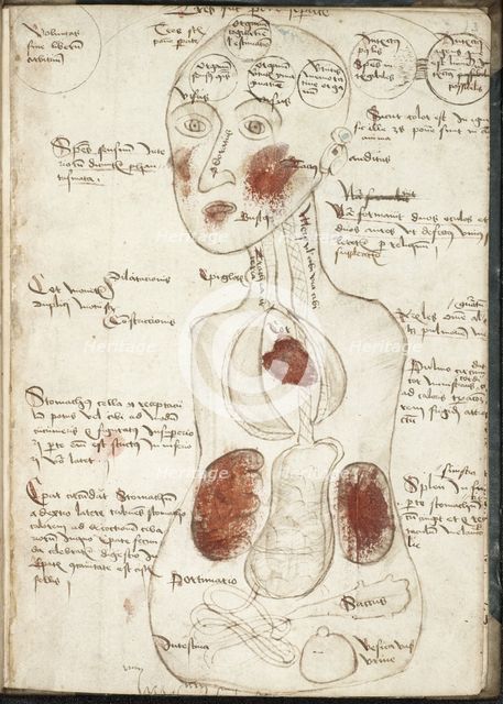 Representation of an Aristotelian Theory of Consciousness (From: De corpore et anima). Artist: Anonymous 