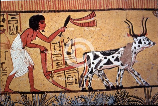 Representation of an Egyptian doing agricultural tasks, detail of a fresco from the tomb of Senne…