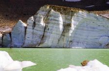 Rerg Striations. Creator: Robert Manno