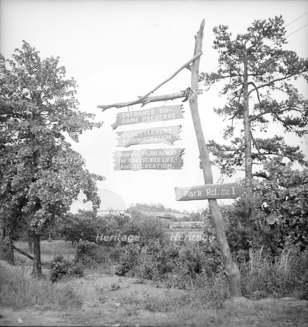 Resettlement project located near Gainesville, Georgia, 1936. Creator: Dorothea Lange.