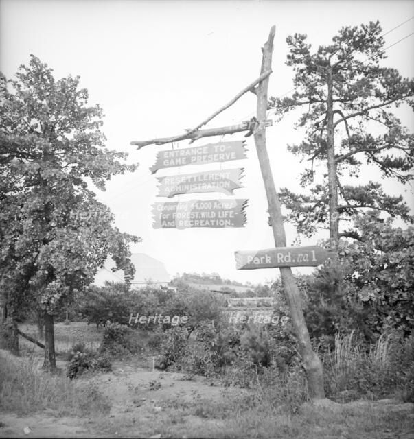 Resettlement project located near Gainesville, Georgia, 1936. Creator: Dorothea Lange.