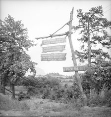 Resettlement project located near Gainesville, Georgia, 1936. Creator: Dorothea Lange