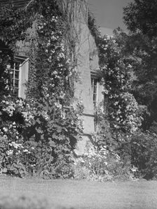 Residence of Mr. Hamilton King, 1934 July. Creator: Arnold Genthe