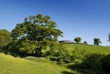 Restormel Castle, Lostwithiel, Cornwall, 2018. Creator: James O Davies